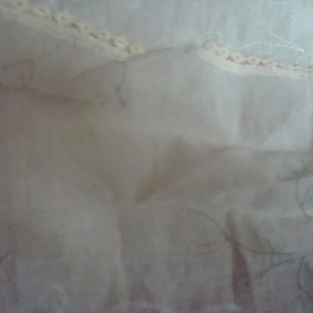 NWOT SET OF 2 SHEER CURTAIN PANELS W/NEEDLE EMBROIDERY